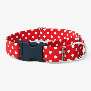 Red Dots Martingale Dog Collar Red Dots Martingale Dog Collar